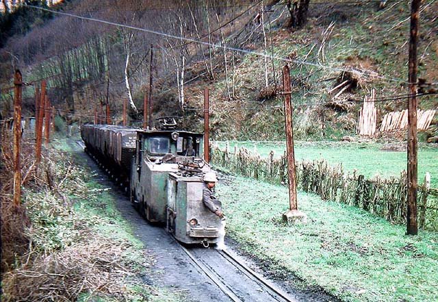 Cerezal.jpg (139.46 KiB) Visto 15353 veces Cerezal.jpg